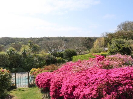 Windy Heath