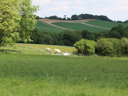 Buckholt Stables