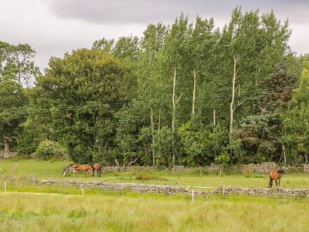 Thirley Beck Lodge