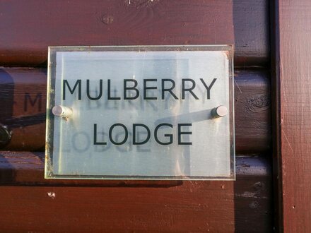 Mulberry