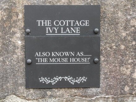 The Mouse House