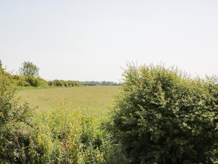 Delphine Lodge, Meadow View Lodges