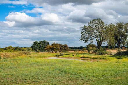 Andrus - Mayflower Meadow