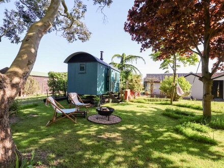 Shepherds Hut at The Hollies