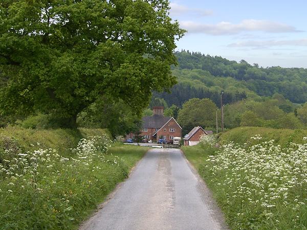 Betty's Barn