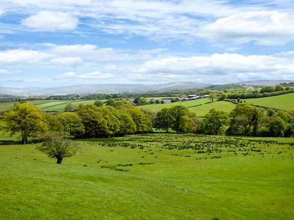 Black Mountain View