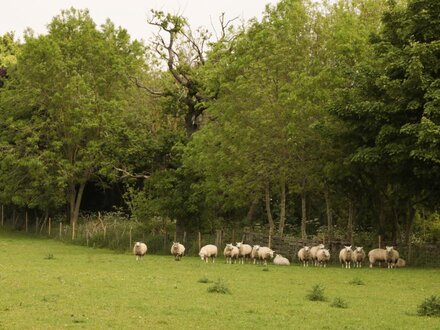 Just A Cottage, Newlands Farm