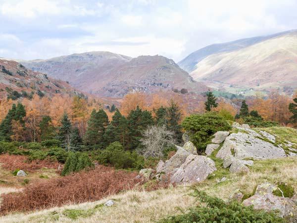 Yew - Woodland Cottages