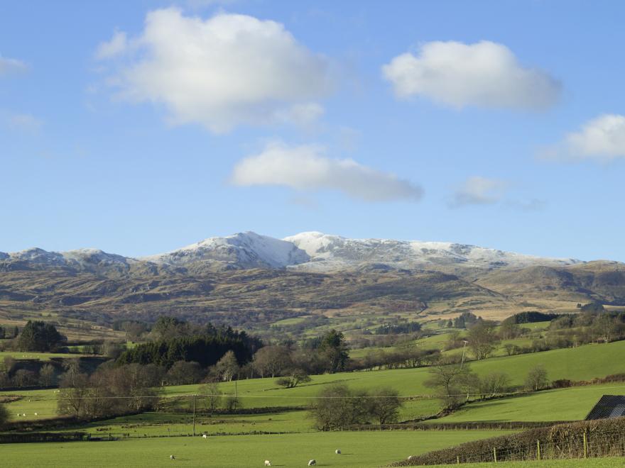 Cyffdy Cottage - Arenig