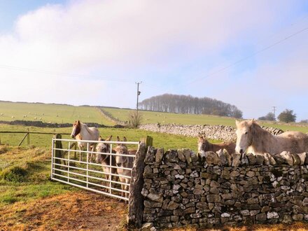 The Stables