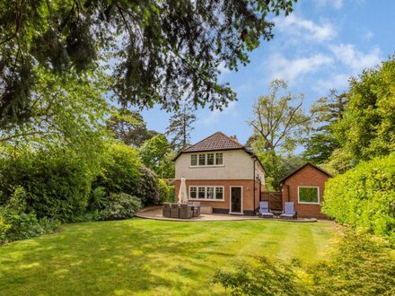 Cottage in Burley, Hampshire