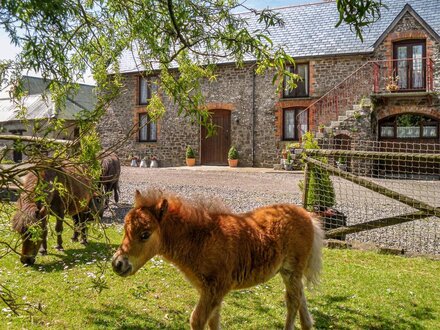 Barn in High Bickington, North Devon