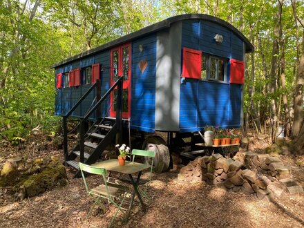 Log Cabin in Pett, Sussex