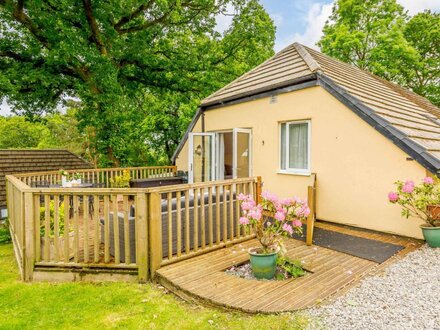 Log Cabin in Hatherleigh, North Devon