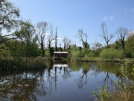 Cottage in Thetford, Norfolk