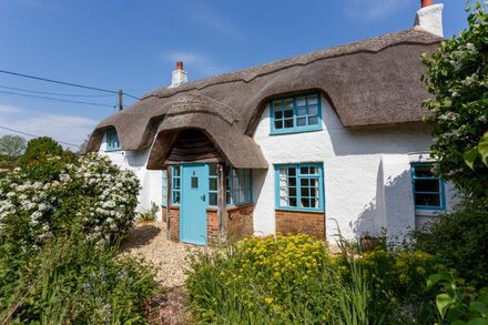 Forest Cottage