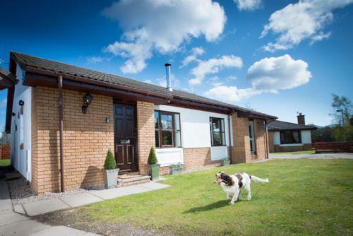 Eagle - 4 Star Pet Friendly  - No151