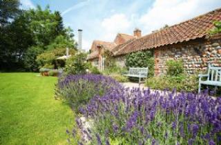 Pear Tree Cottage (Norfolk)