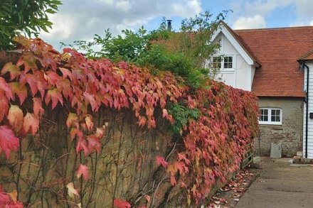 Bushes Oast -  beautifully converted oast house set in wonderful countryside