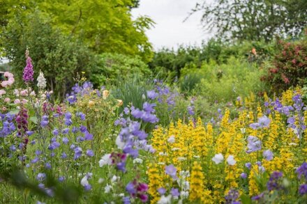 Plum Pudding Stables -  a country cottage that sleeps 2 guests  in 1 bedroom