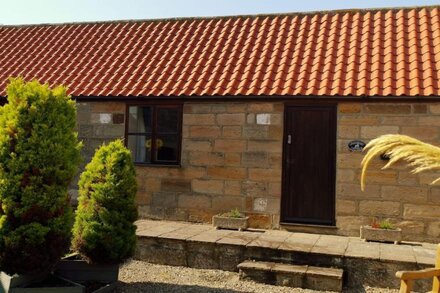 2 Bedroom cottage with views of Whitby Abbey in quiet rural location