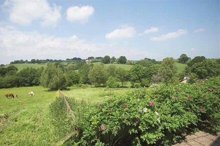 Host & Stay | Tregaer Mill Barn