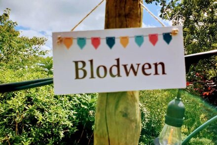 'Blodwen' Vintage Van + Tin Shack: glamping + breakfast hamper