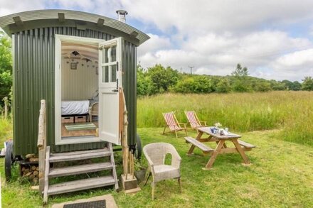 Charming craftsman-built shepherd's hut, set in it's own private woodland glade