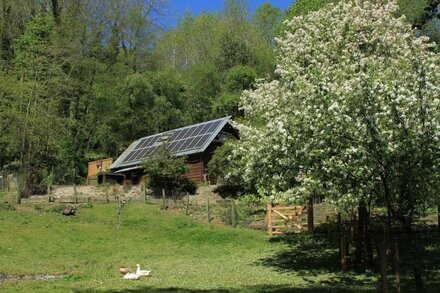 Family/pet-friendly woodland retreat in Mortimer Country near historic Ludlow