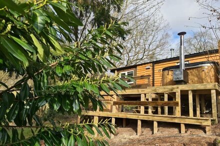 Rowan Tree Lodge with Hot Tub, a beautiful Woodland Retreat in Shropshire