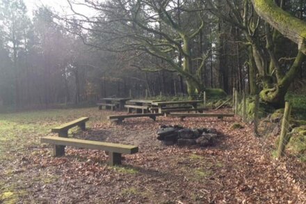 Buckstone Log Cabin with Private Grounds Nestled Into The Natural Woodland