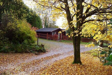 'Pinelodge' - SELF CATERING LODGE -   LLANTRISANT - 12 MILES FROM CARDIFF.