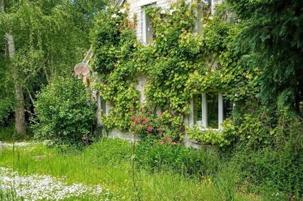 Cosy Somerset farmhouse, Stunning garden.