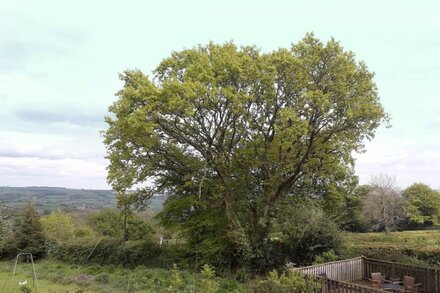 Rural Holiday Cottage with Wonderful Countryside Views on Friendly Smallholding.