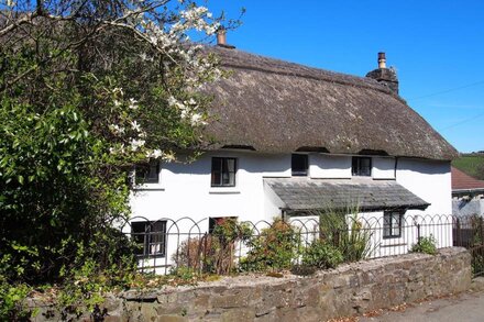 Lovely Devon cottage with private heated indoor swimming pool