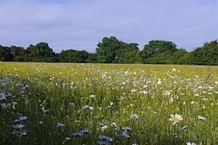 Stunning barn in glorious countryside - Perfect for groups - 6 en-suite rooms