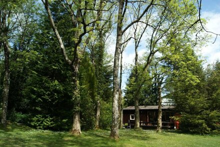 Lovely pine lodge on woodland conservation site