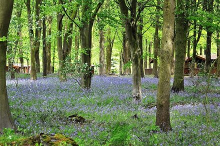 Haven Lodge in Kenwick Park Louth Lincolnshire