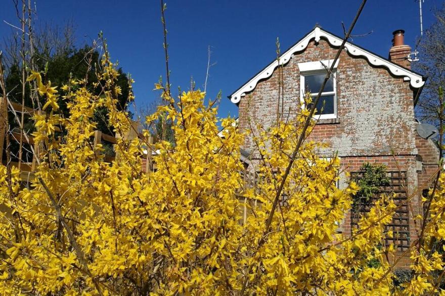 Cosy Farm Cottage in the Heart of Dorset