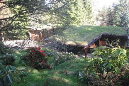 3-bedroom log house set in woodland in the heart of Highland Perthshire