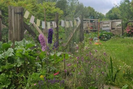 Beautiful hidden Frome Home