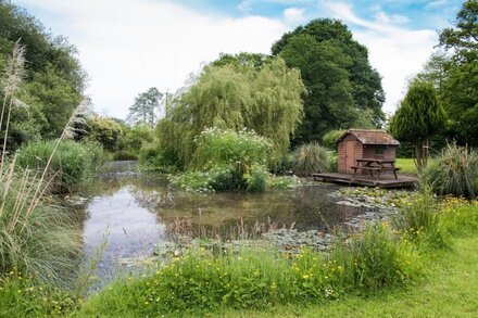 New Forest Cottage, charming & full of character in the heart of The New Forest