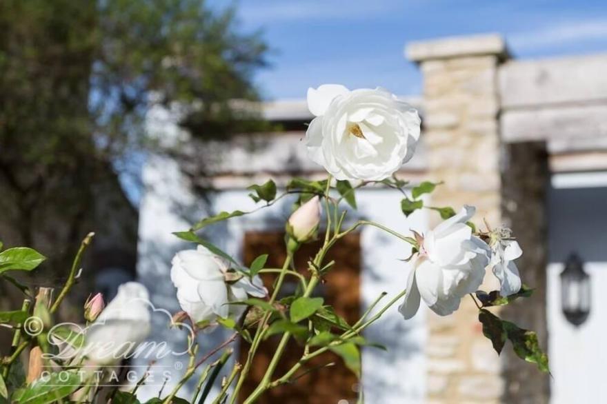 BLUEBERRY COTTAGE, pet friendly, with a garden in Sutton Poyntz