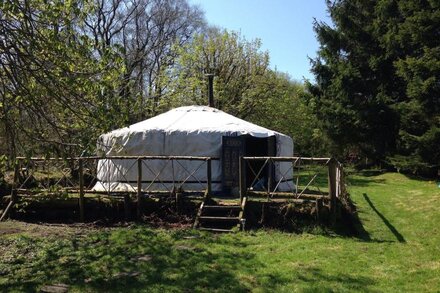 Mongolian yurt in idyllic and totally private setting on Dartmoor