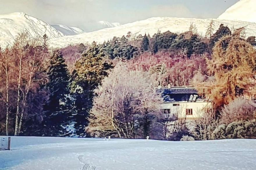 Exceptional! The Byre, overlooking the Cairngorms.