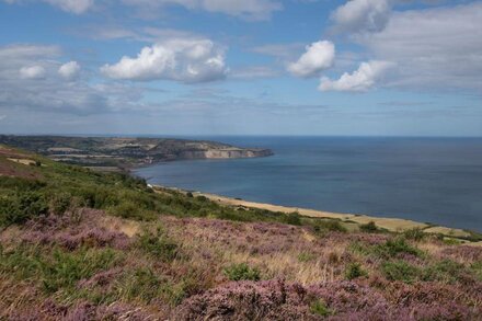 BAY VIEW COTTAGE - stunning cottage overlooking Robin Hoods Bay