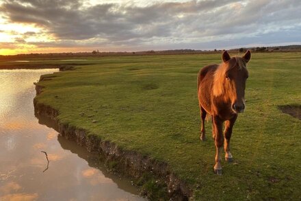 Beck Cottage, Wood Green,  New Forest UK