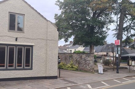 Charming 1-Bed loft in Caerleon