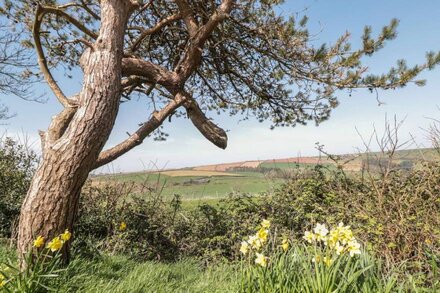 201 NORTON PARK, pet friendly, country holiday cottage in Dartmouth