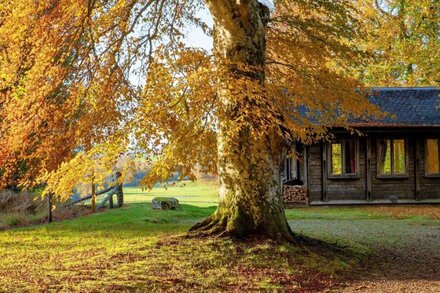 Unique Norwegian cabin perched above the River Findhorn with a stunning view